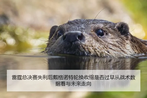 lei-ting-zong-jue-sai-shi-li-hou-dai-ge-nuo-te-lun-huan-shou-suo-shi-fou-guo-zao-cong-zhan-shu-shu-ju-kan-yu-wei-lai-2-153.jpg